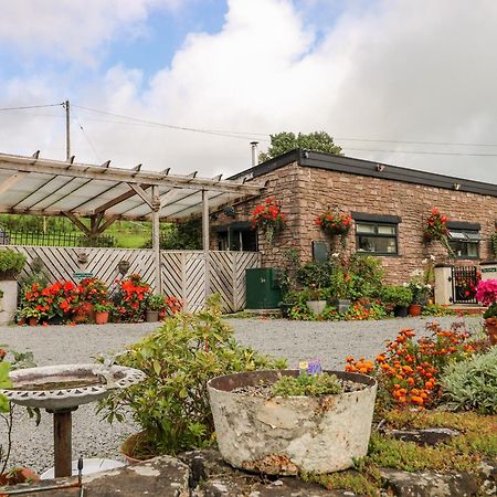 Ffynnonlwyd Cottage Llangynin Dış mekan fotoğraf