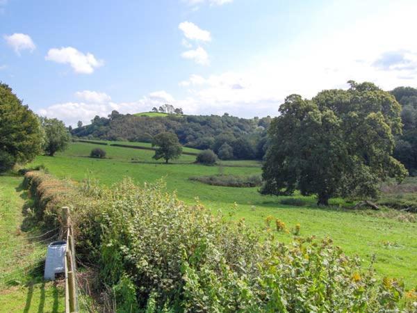 Ffynnonlwyd Cottage Llangynin Dış mekan fotoğraf